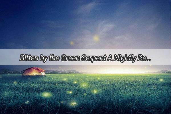 Bitten by the Green Serpent A Nightly Revelation of Forbidden Dreams and Hidden Messages